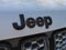 Jeep Grand Cherokee Altitude 4X2 2020