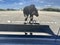 Jeep Grand Cherokee L Limited 4x4 2024