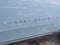 Jeep Grand Wagoneer 2026 GRAND WAGONEER LIMITED ALTITUDE 4X4