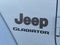 Jeep Gladiator Rubicon 4x4 de 2020