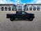Ford F-150 Tremor 2023