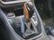 Subaru Outback Wilderness 2023