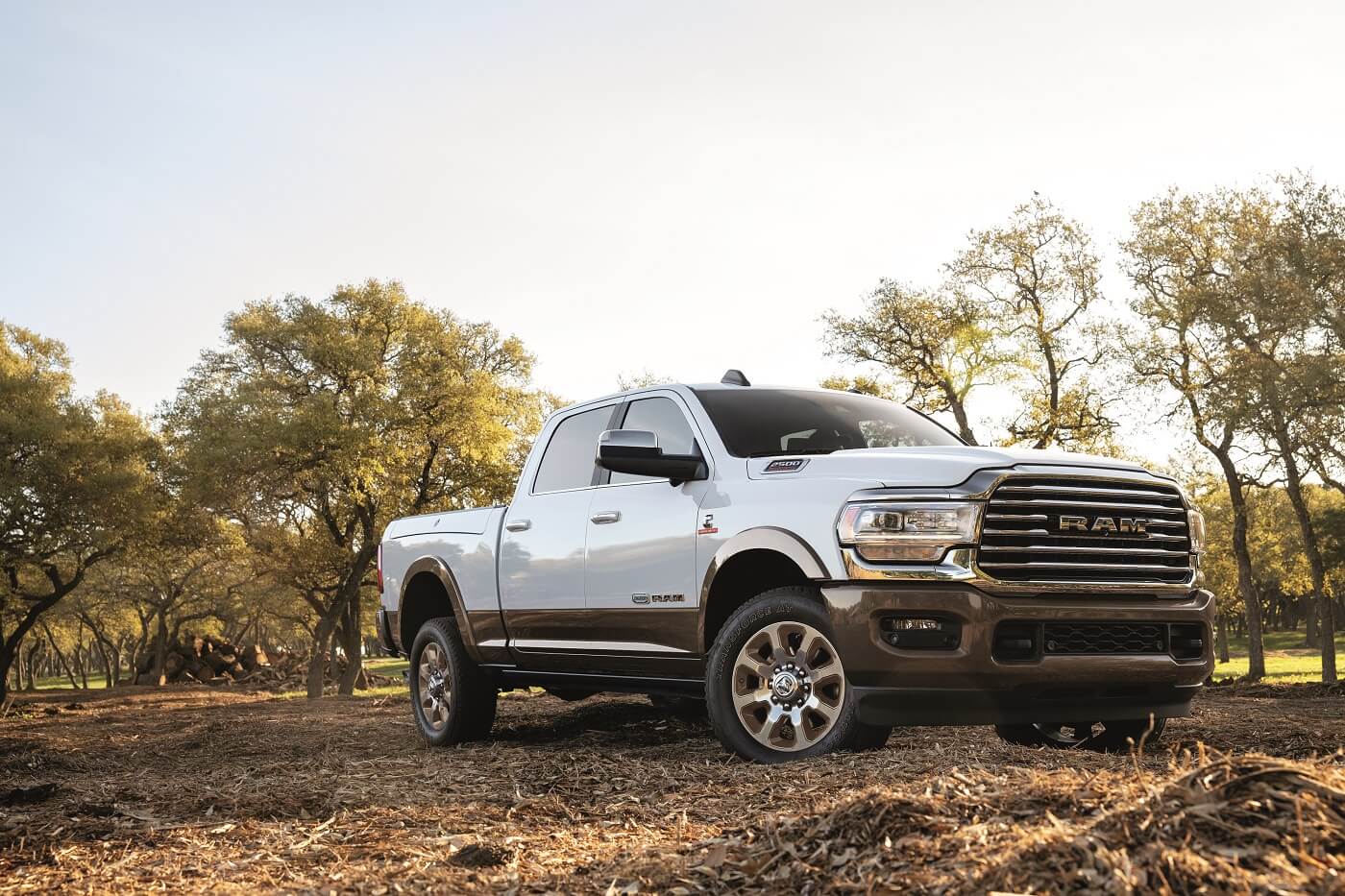 Nuevo Inventario Ram